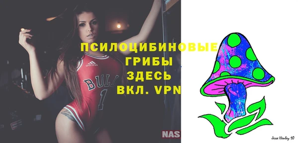 соль курить ск Арсеньев