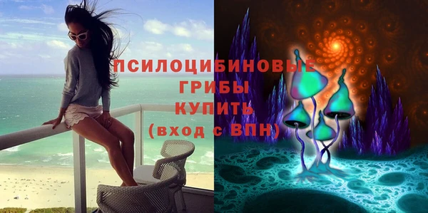 прущая мука Армянск